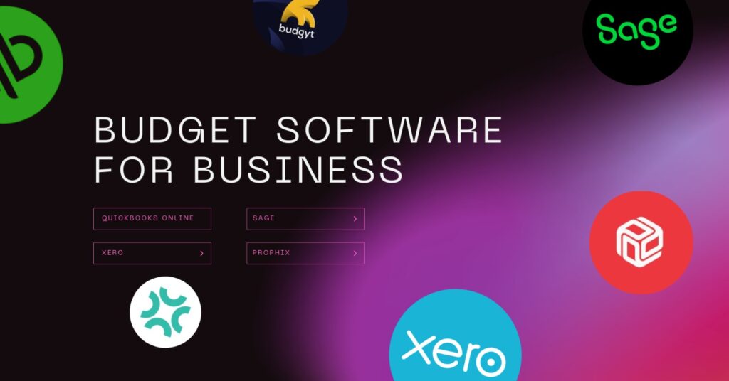 budget software for business